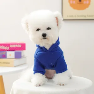 Gros plan d'un sweat à capuche bleu pour petit chien dans un intérieur chaleureux
