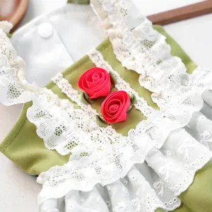 Détail de la robe verte pour animaux avec dentelle blanche et roses rouges