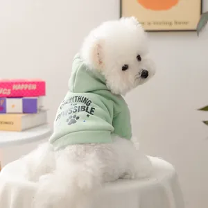 Détail du sweat à capuche vert menthe pour animaux avec imprimé 'EVERYTHING IS PAWSSIBLE'