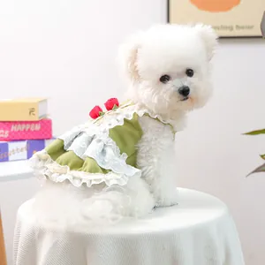 Robe de princesse verte pour animaux avec dentelle blanche et roses rouges pour chats