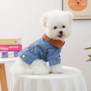 Denim dog jacket with corduroy collar and letter embroidery on white bichon frise