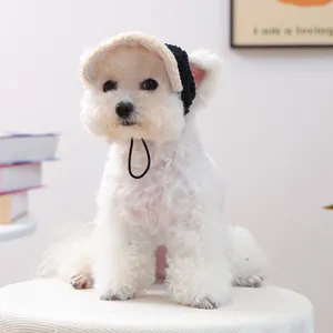 Detail of plush pet hat with adjustable strap on a small white dog in a cozy home setting