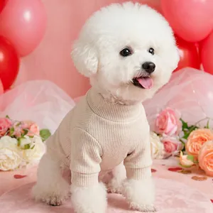 Pull en tricot beige à côtes pour petits chiens porté par un Bichon Frise, scène festive