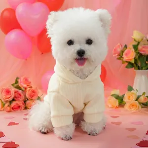 Cremefarbener Hundehoodie für kleine Hunde mit gemütlicher Rippstrick-Textur und Kapuze