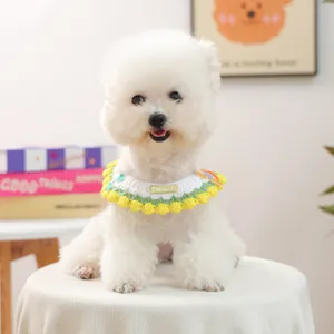 Handmade knitted pet collar with rainbow patches and metallic tag on a white dog