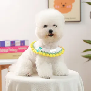 Cute handmade knitted pet collar with green note charm worn by a small white dog