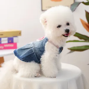 Vestito di jeans per cani con toppa a cuore rosa su un piccolo cane in casa