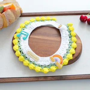 Detail of hand-knitted pet collar with music notes, rainbow patch and wood button