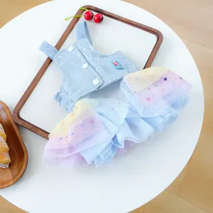 Détail de la robe pour animaux en jean avec jupe en tulle arc-en-ciel et voile étoilé