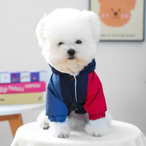 Detail showing tricolor hooded pet jacket with snap buttons on a small white dog