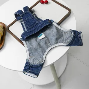 Detail of pet denim overalls with metal buckles and small pocket on a white table