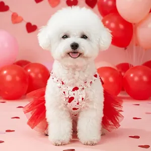Valentine dog dress with heart patterns and red mesh tutu skirt on a white puppy