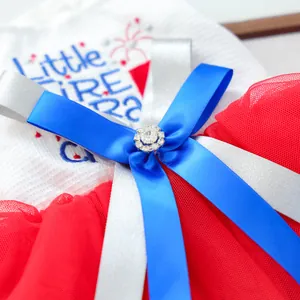 Detail of Little Firecracker pet dress with blue ribbon bow and rhinestone buckle