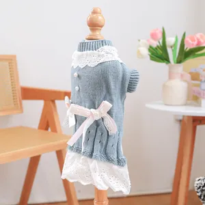 Detail eines hellblauen Hundepullovers mit Spitzenbesatz, Schleife und Perlenknöpfen