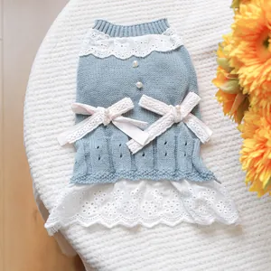 Detailansicht eines Strickkleides für Hunde mit weißer Spitze, Perlen und blauem Strick