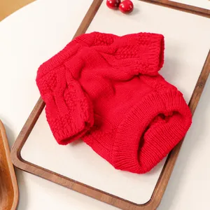 Detailed knit texture of a red chunky cable-knit sweater for small pets and cats