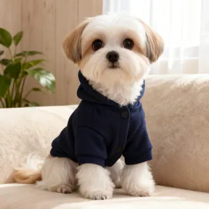 Felpa con cappuccio blu navy con arcobaleno per cani di piccola taglia su divano morbido