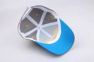 Detail view of cotton baseball cap interior featuring embroidery and reinforced stitching