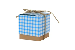 Detail view of plaid lid kraft paper gift box with decorative natural twine bow