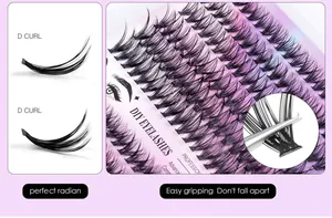 Détails du kit d'extensions de cils segmentés DIY avec courbure D et pince de précision