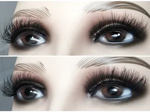 Nahaufnahme von mehrlagigen 3D dichten faux Nerz falschen Wimpern auf Mannequin-Augen