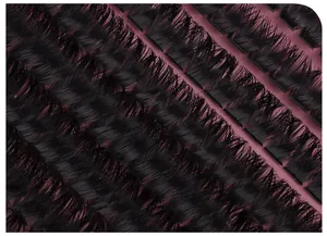 Macro detail of dense D-curl individual cluster lashes on a dark burgundy display strip