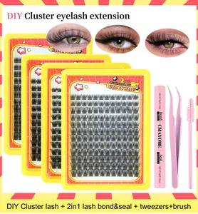 Kit d'extension de faux cils individuels avec cils segmentés et outils de pose