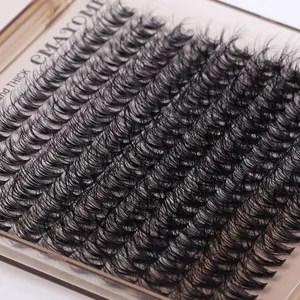 Macro view of thick individual cluster eyelashes organized in a professional tray