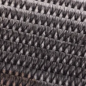 Macro shot of 30D and 100D individual eyelash clusters showing high density and curl