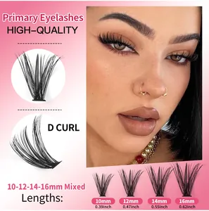 Mixed D-curl cluster eyelashes showing lengths of 10mm, 12mm, 14mm, and 16mm
