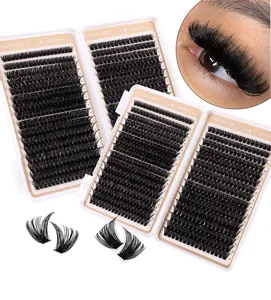 Detailansicht des 8-18mm Einzelwimpern-Sets mit 640 Clustern für extremes Volumen