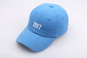 Detailaufnahme der weißen 1987-Stickerei auf der hellblauen Baumwoll-Baseballkappe