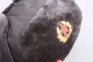 Vue détaillée de l'emblème soviétique et de la fourrure sur une chapka grise étanche