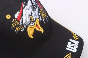 Detailed close-up of eagle embroidery and USA lettering on a black baseball cap