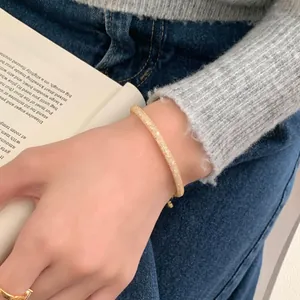 Elegant gold S925 silver bracelet with micro-pave stones on a model's wrist