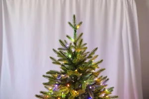 Dettaglio dell'albero di Natale in PE con luci stringa LED multicolore brillanti