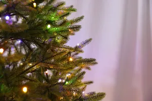 Dettaglio dei rami dell'albero di Natale in PE con ghirlande luminose a LED colorate