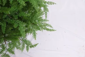 Detail of artificial green pine branch showing realistic needle texture and brown stem