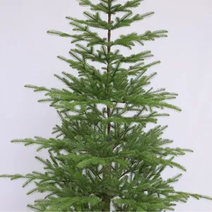 Árbol de Navidad artificial minimalista de PE verde con agujas realistas y tronco marrón