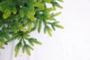 Detailed close-up of lush light green PE and PVC Norfolk Pine artificial branches