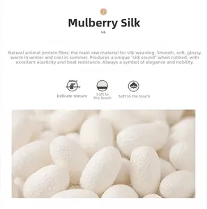 Detail of 100% mulberry silk texture with natural cocoons for high-end scarf material