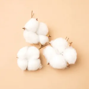 Three natural white cotton flower heads for Christmas tree DIY and home floral decoration