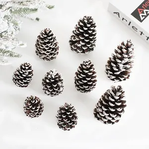 Natural frosted pine cones set with white snow effect for Christmas DIY home decor