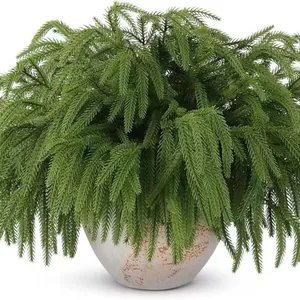 Artificial Norfolk Pine potted plant in a textured stone bowl for Christmas decor