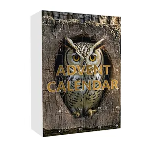 24-day Christmas advent calendar box featuring an owl print and countdown compartments