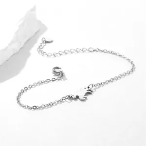 Nahaufnahme eines Pony-Charm-Armbands aus Edelstahl mit Karabinerverschluss und Kette