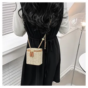 Détail du sac boîte en paille tissée beige avec chaîne dorée et double fermeture