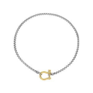 Collier à boucle fer à cheval avec chaîne boîte argentée et fermoir doré chic