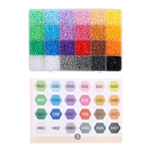 Gedetailleerde 24-kleuren 5mm strijkkralen set in transparante doos met referentiekaart