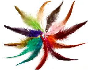 Assortiment de longues plumes colorées pour la création de bijoux DIY et artisanat